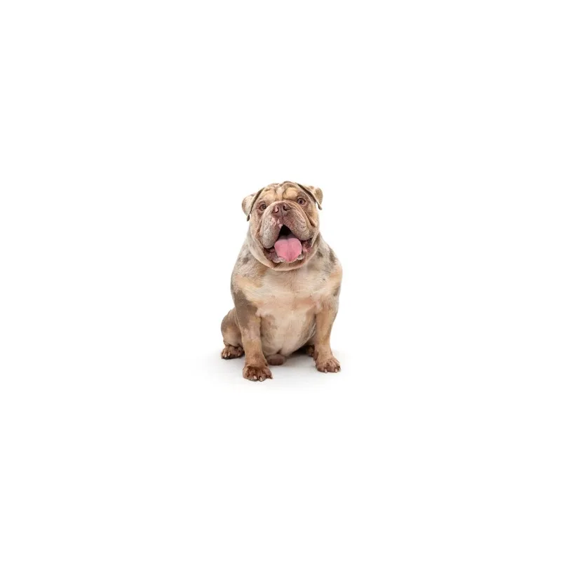 Zeke