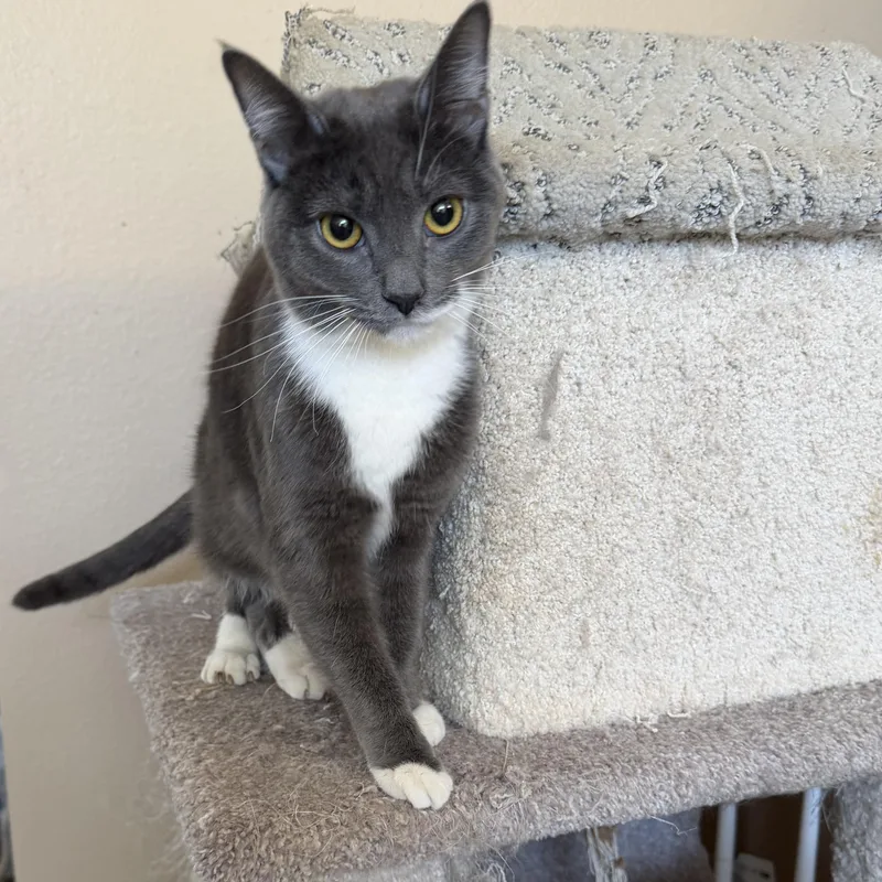 Jackie Grey P thumbnail 2