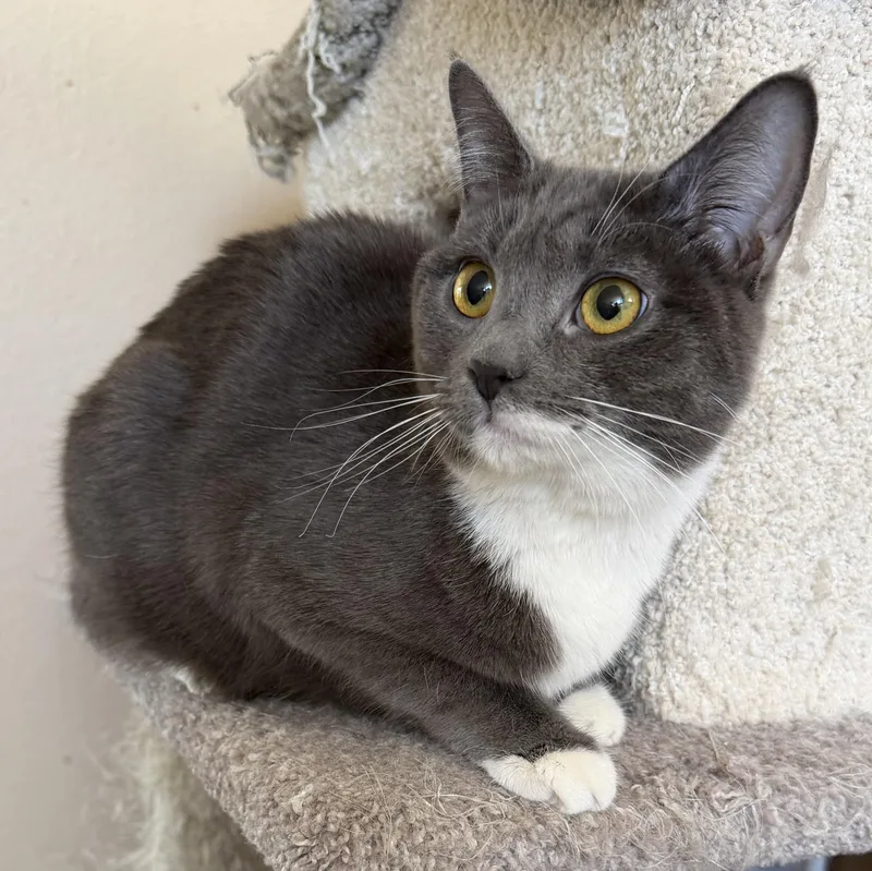 Jackie Grey P thumbnail 4