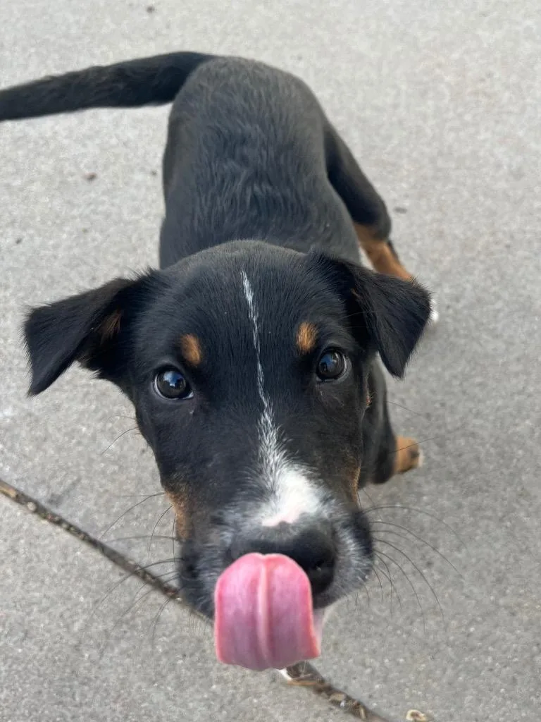 Gualaceo thumbnail 2