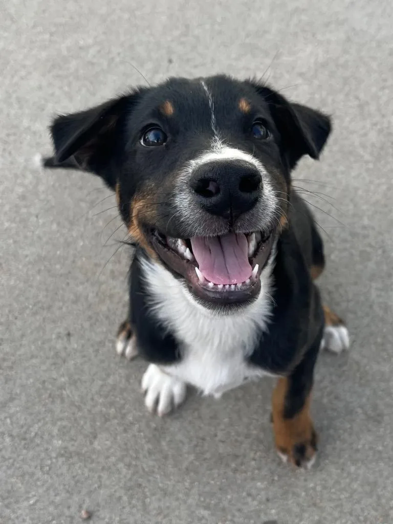 Gualaceo thumbnail 3