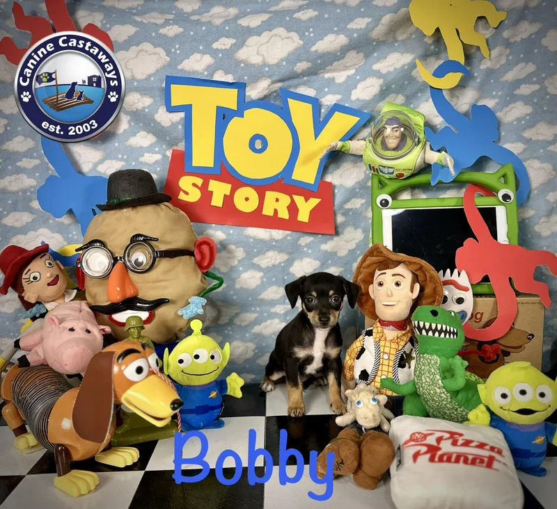 Bobby thumbnail 5