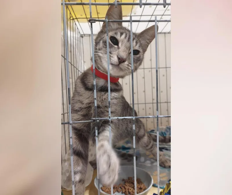 Gracelyn thumbnail 2