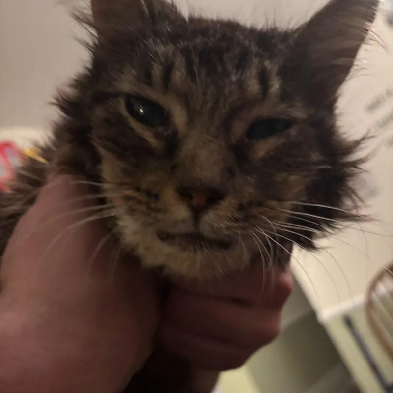 Abuelita thumbnail 3