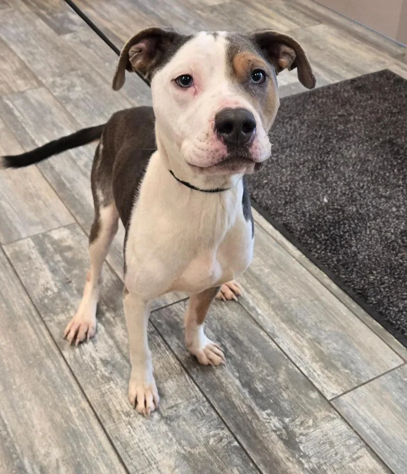 Marshall Yrly thumbnail 2