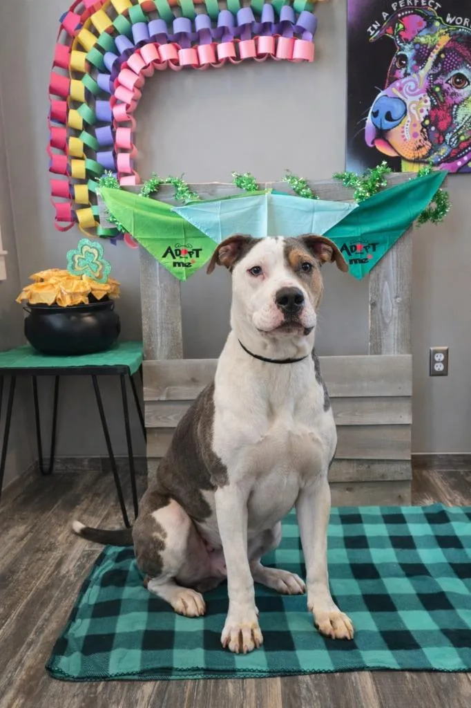 Marshall Yrly thumbnail 3