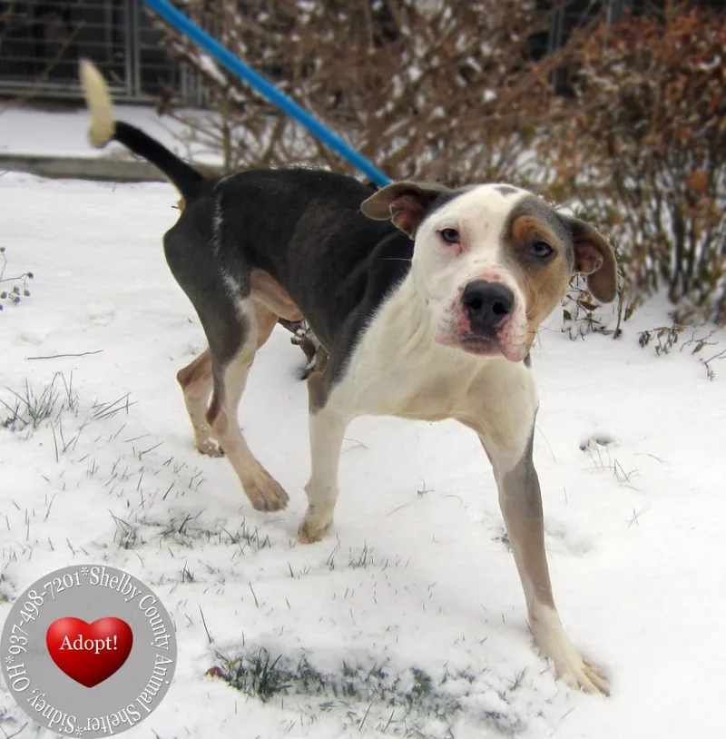 Marshall Yrly thumbnail 4