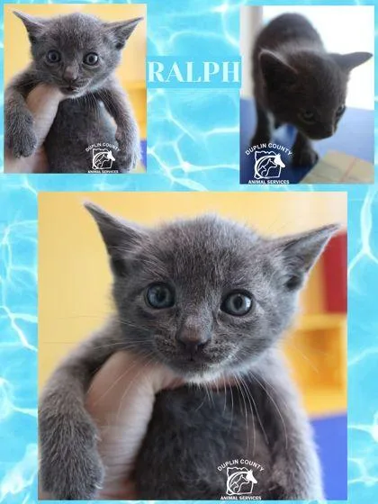 Ralph