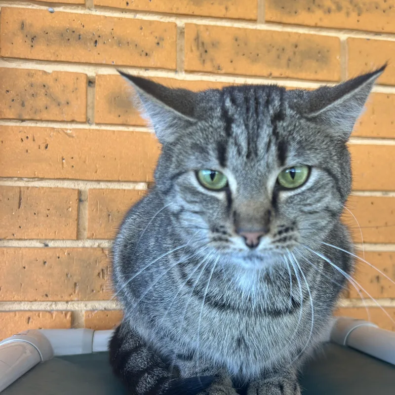 Tinker  Jovi  thumbnail 2