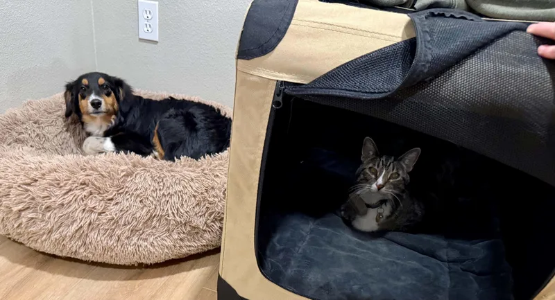 Nellie thumbnail 4