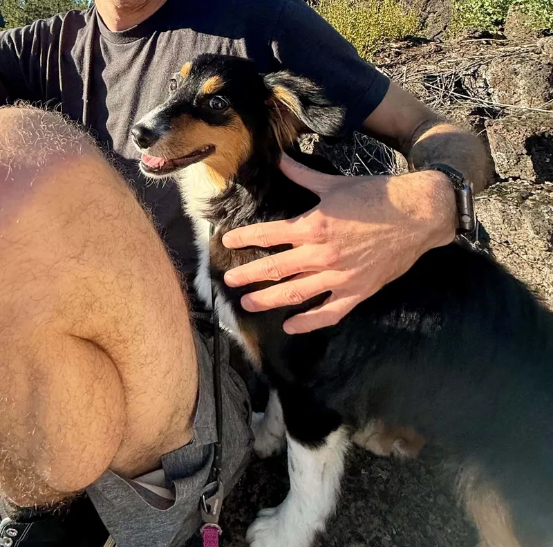 Nellie thumbnail 6