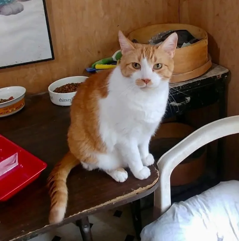 Pootie thumbnail 2