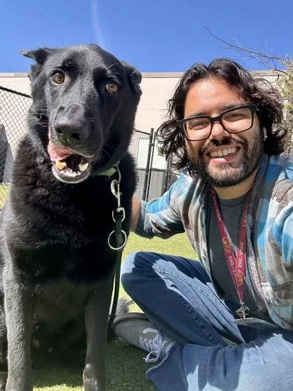 An adult large-sized male Black German Shepherd Dog dog named Flash for adoption in Wichita, KS