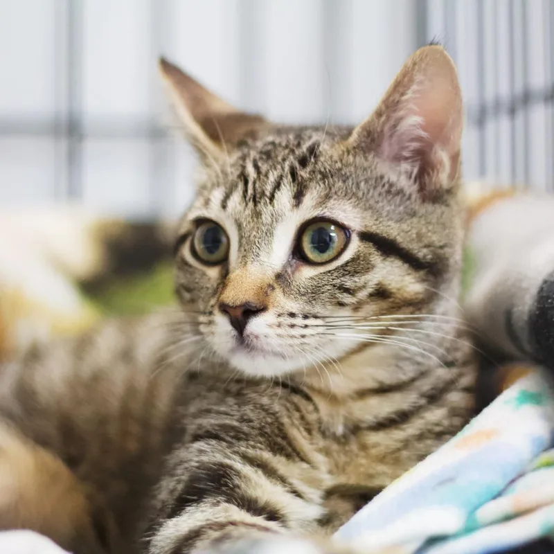 Judy Blume thumbnail 6