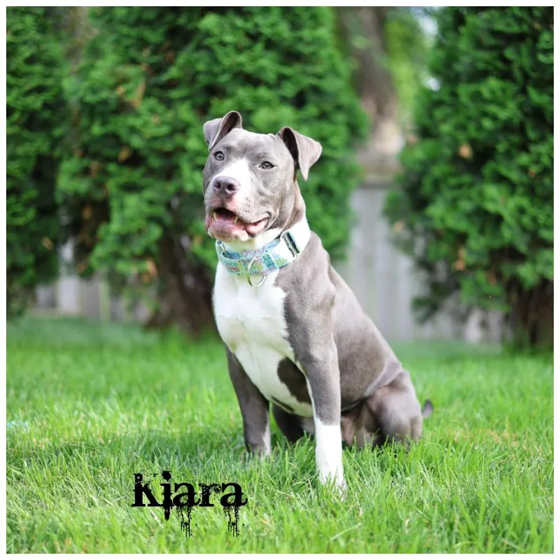 Kiara thumbnail 5