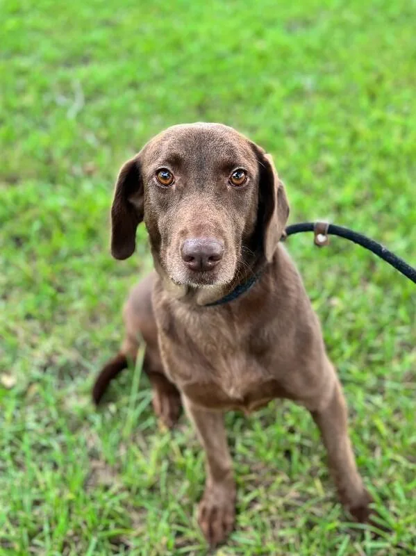 Mocha Mia