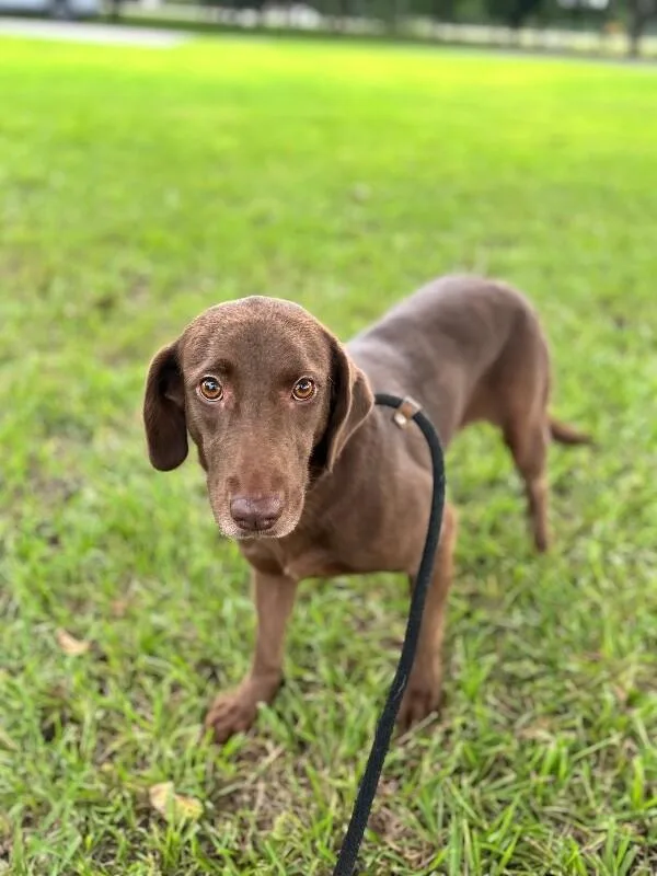 Mocha Mia thumbnail 2
