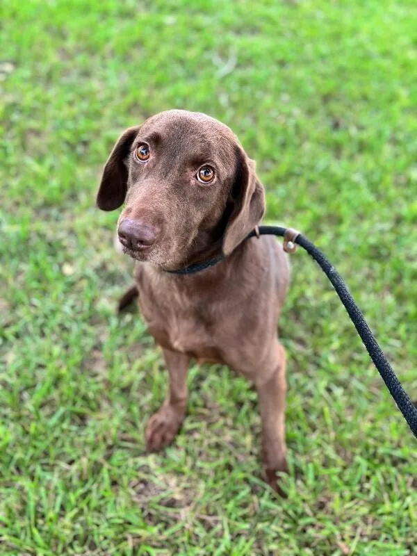 Mocha Mia thumbnail 3