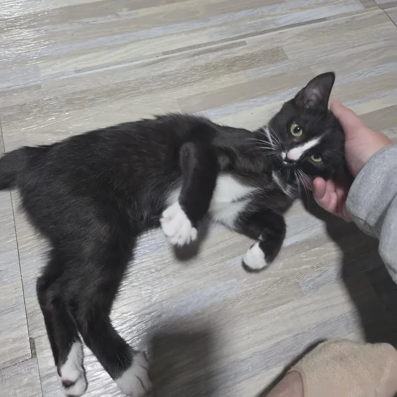 QTip thumbnail 3