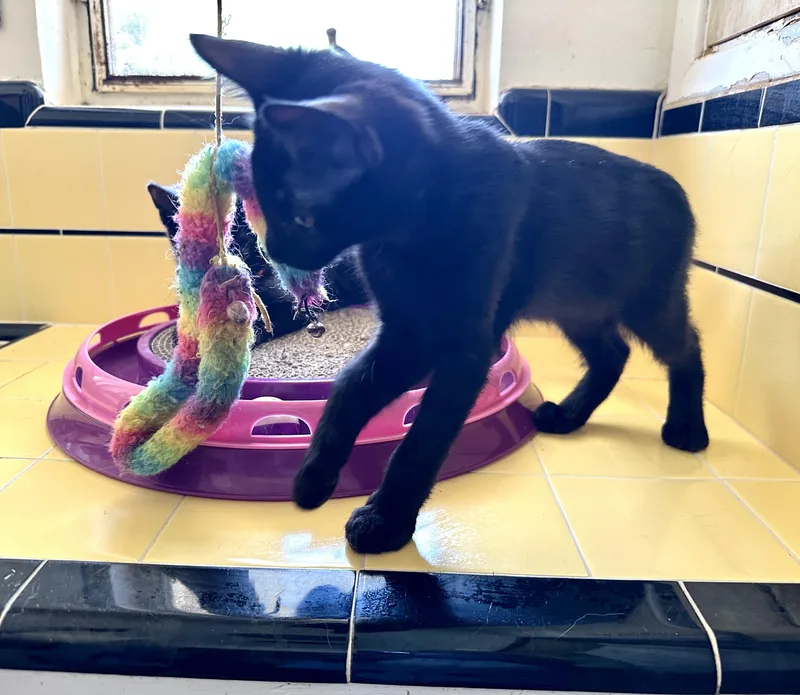 Google And Search thumbnail 2