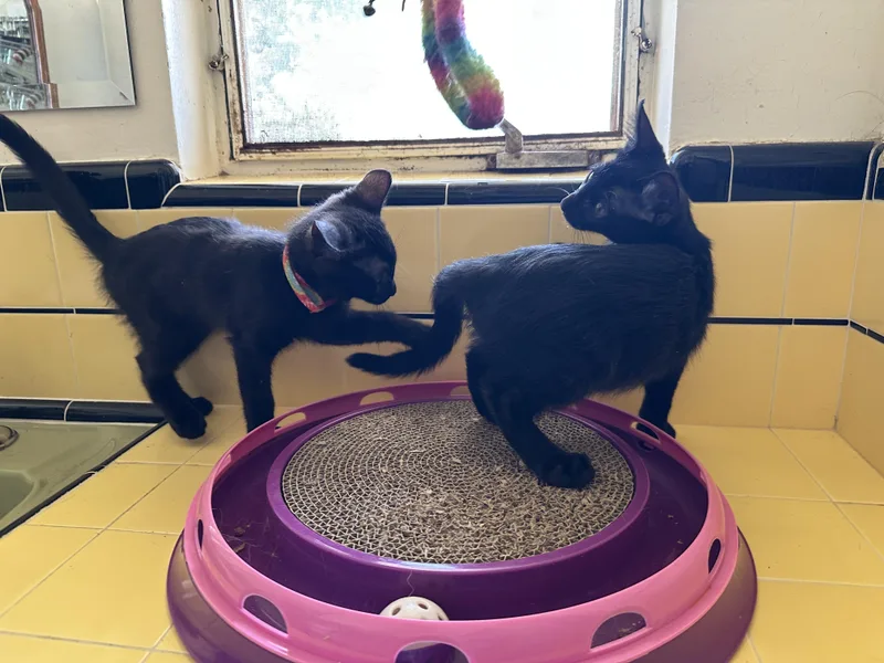 Google And Search thumbnail 6