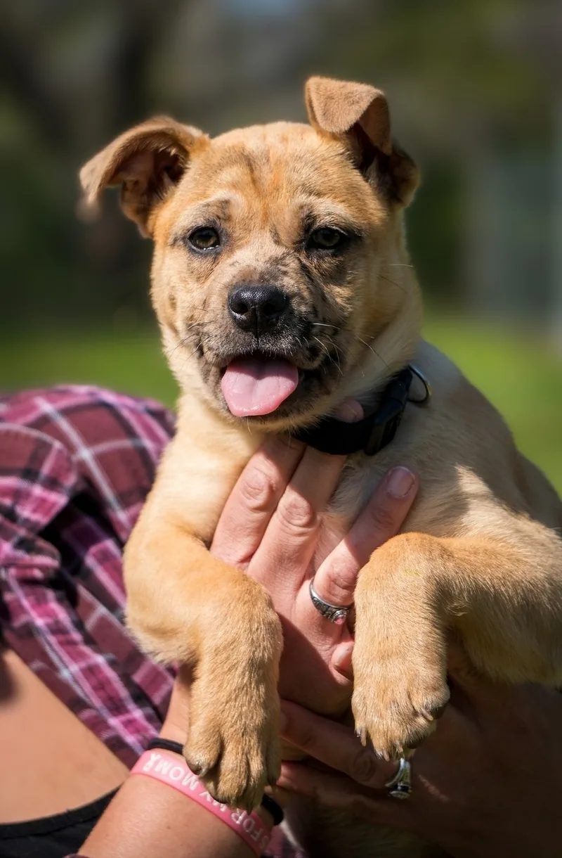 Molly Aka Freckles thumbnail 3