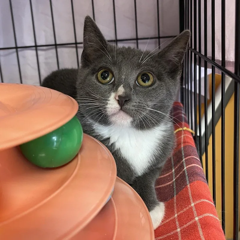 Hisselda thumbnail 2