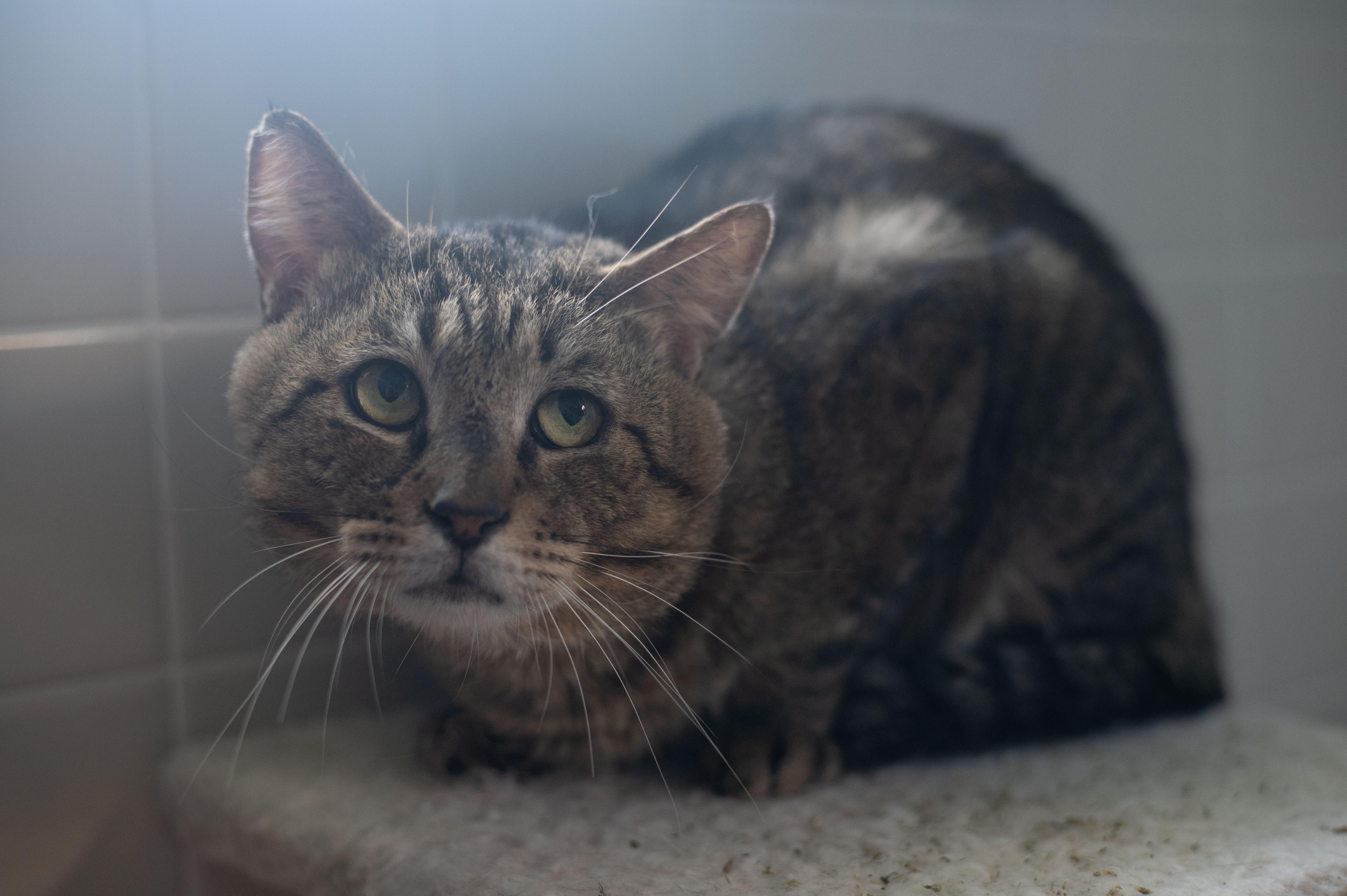 Benjamin Button thumbnail 3