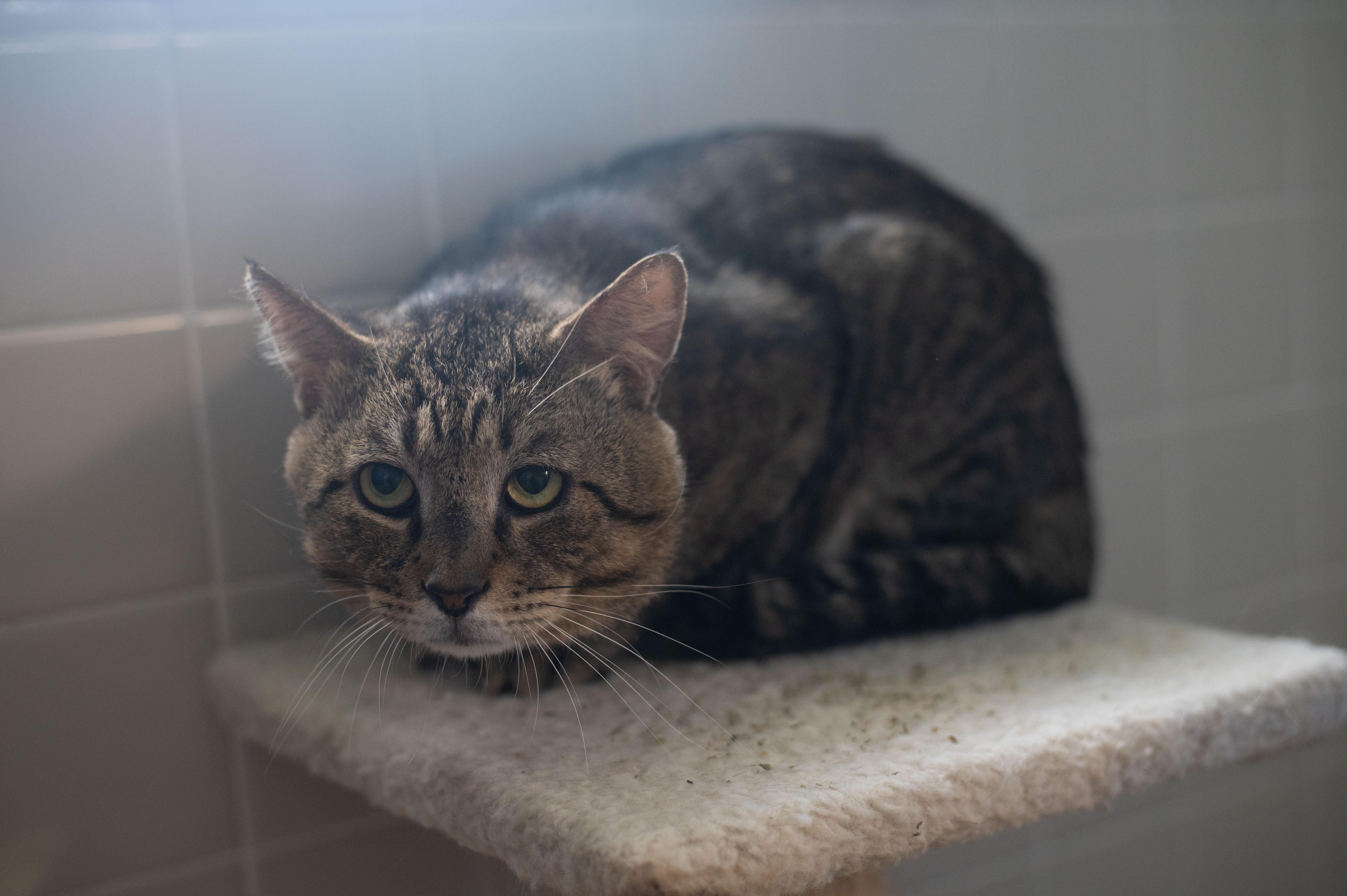 Benjamin Button thumbnail 4