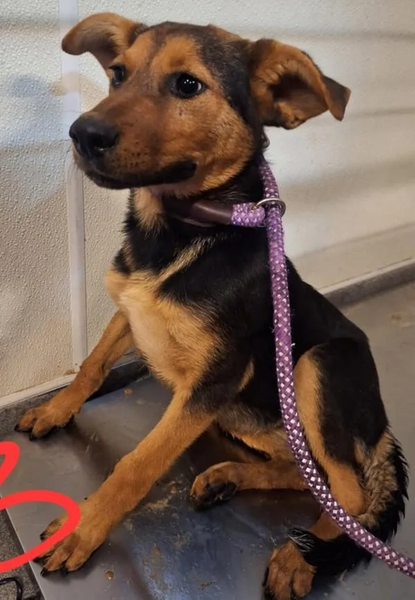 Michelle thumbnail 2