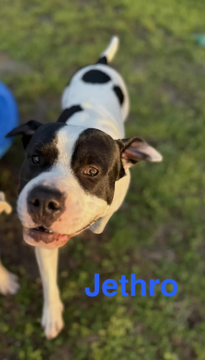 Jethro