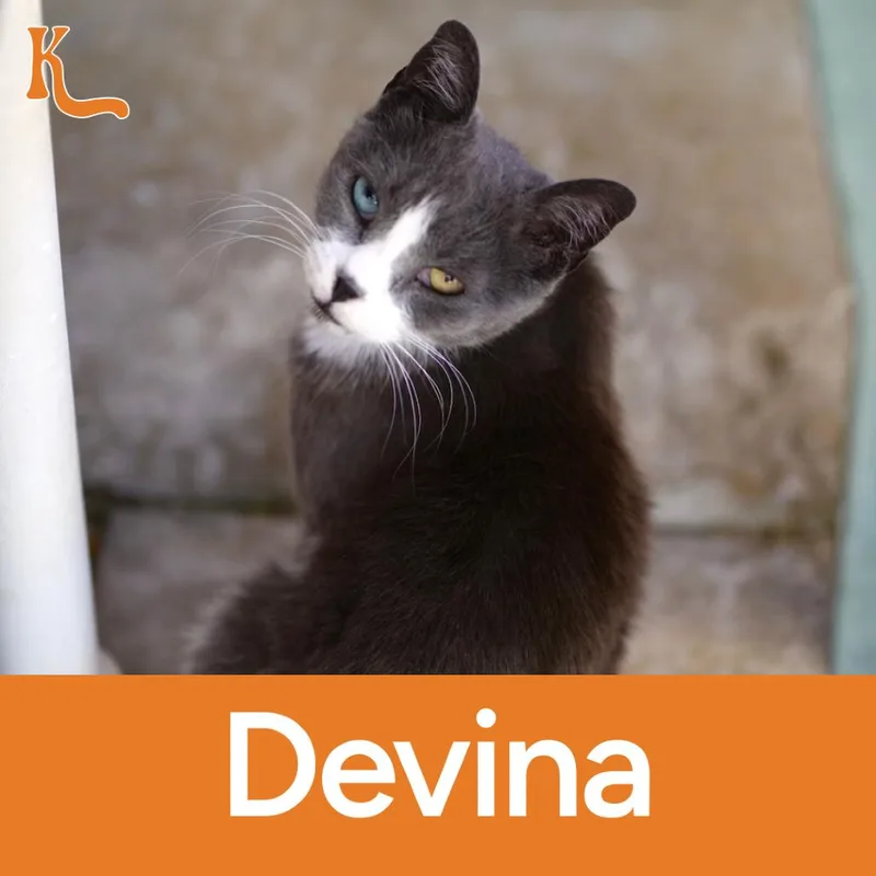Devina