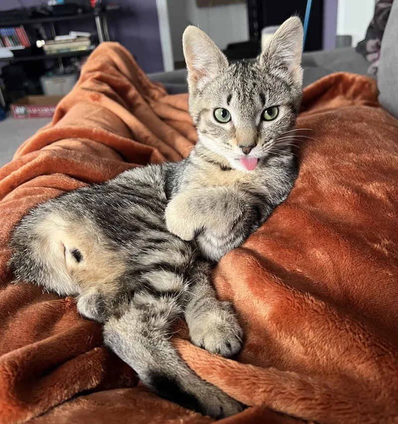 Karen Walker thumbnail 2