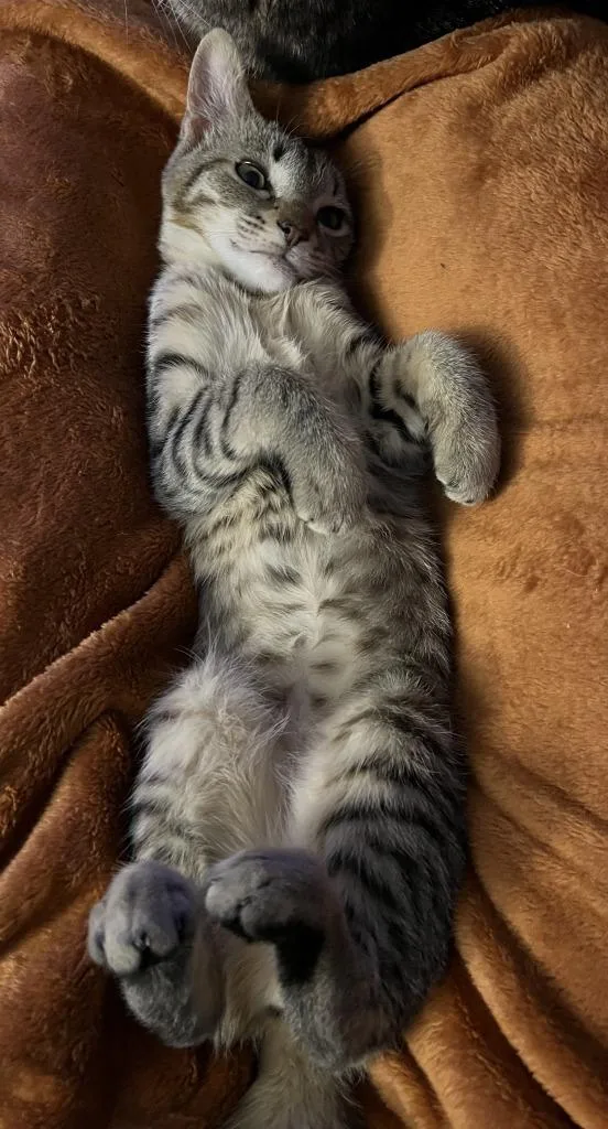 Karen Walker thumbnail 3