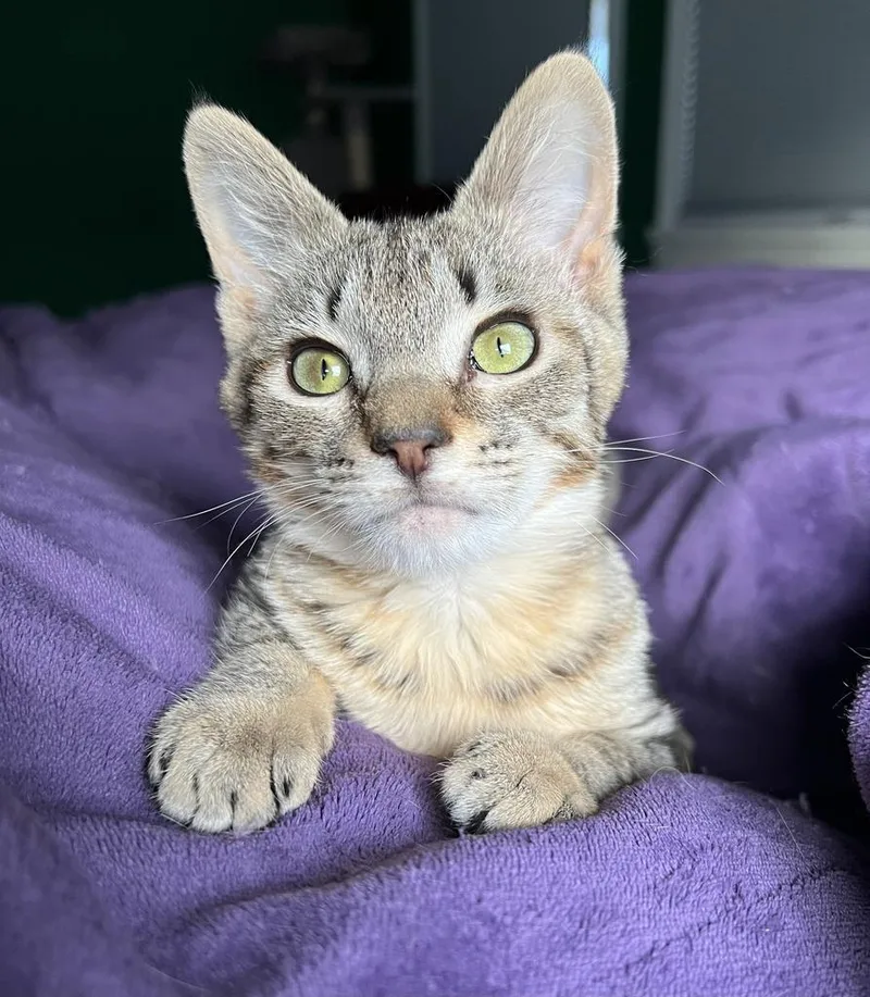 Karen Walker thumbnail 4