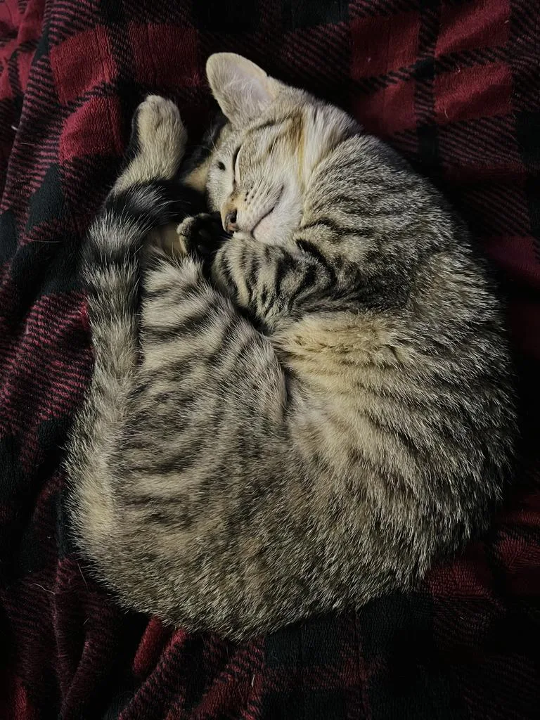 Karen Walker thumbnail 5