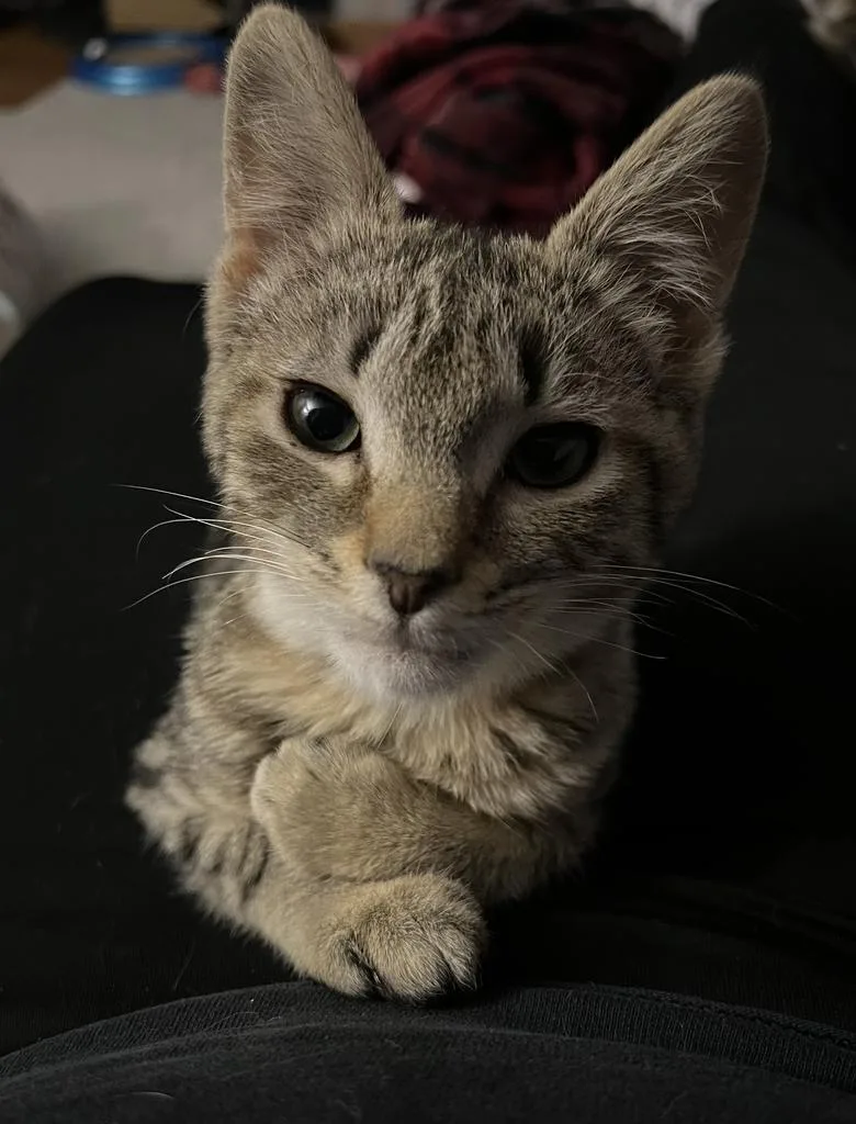 Karen Walker thumbnail 6