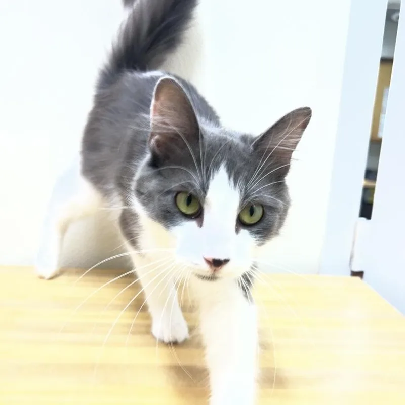 Tina thumbnail 3