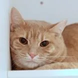 Sammy