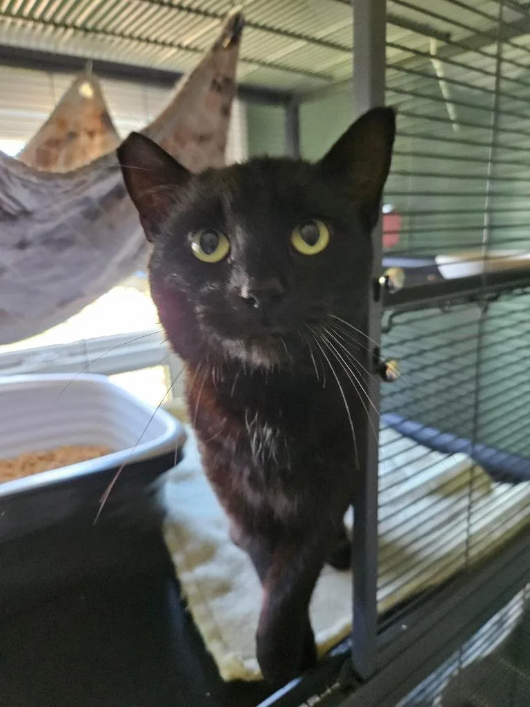 Must See Tv thumbnail 2