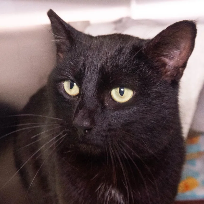 Must See Tv thumbnail 3