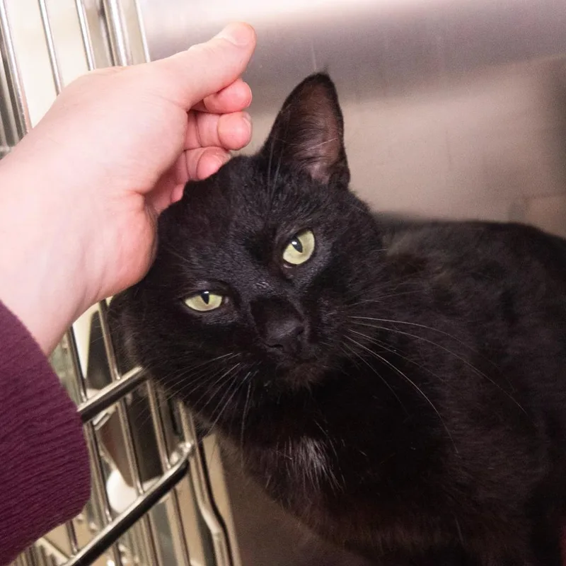 Must See Tv thumbnail 4