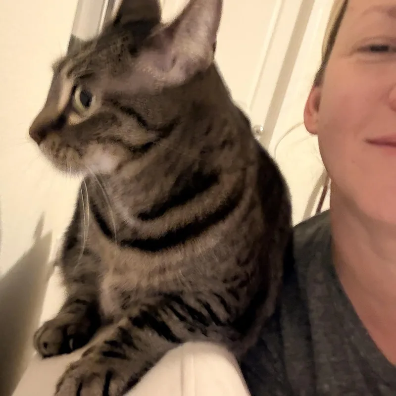 Sophie thumbnail 3
