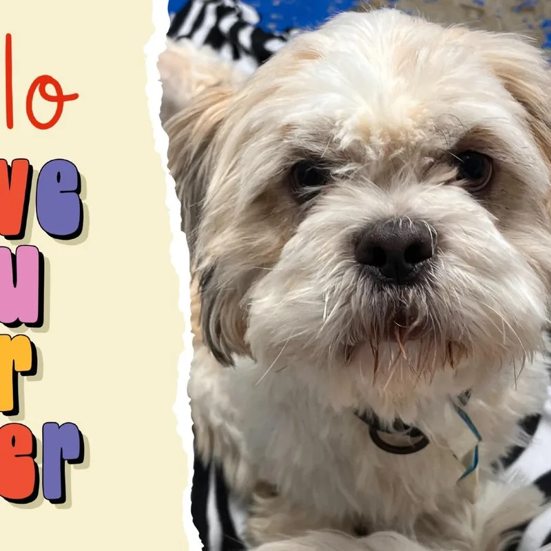 D Milo thumbnail 2