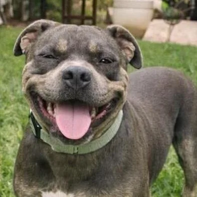 Millie thumbnail 2