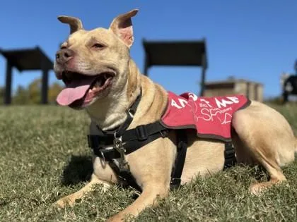 Kimberly thumbnail 2