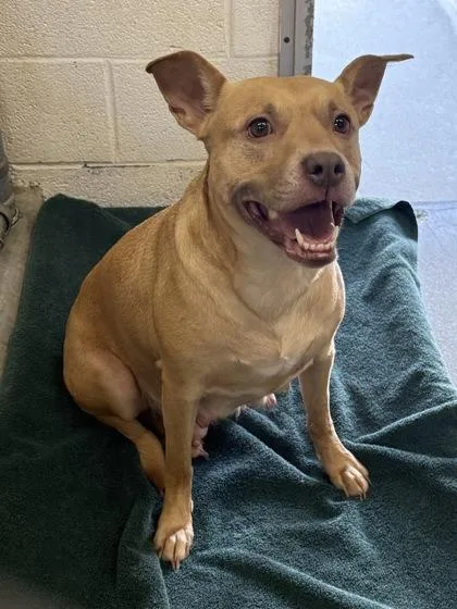 Kimberly thumbnail 3