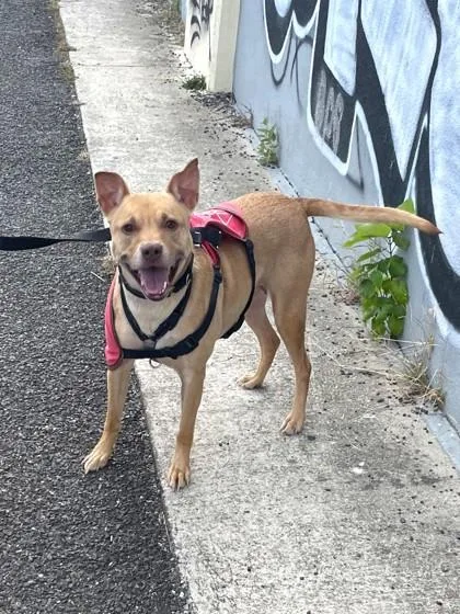 Kimberly thumbnail 4