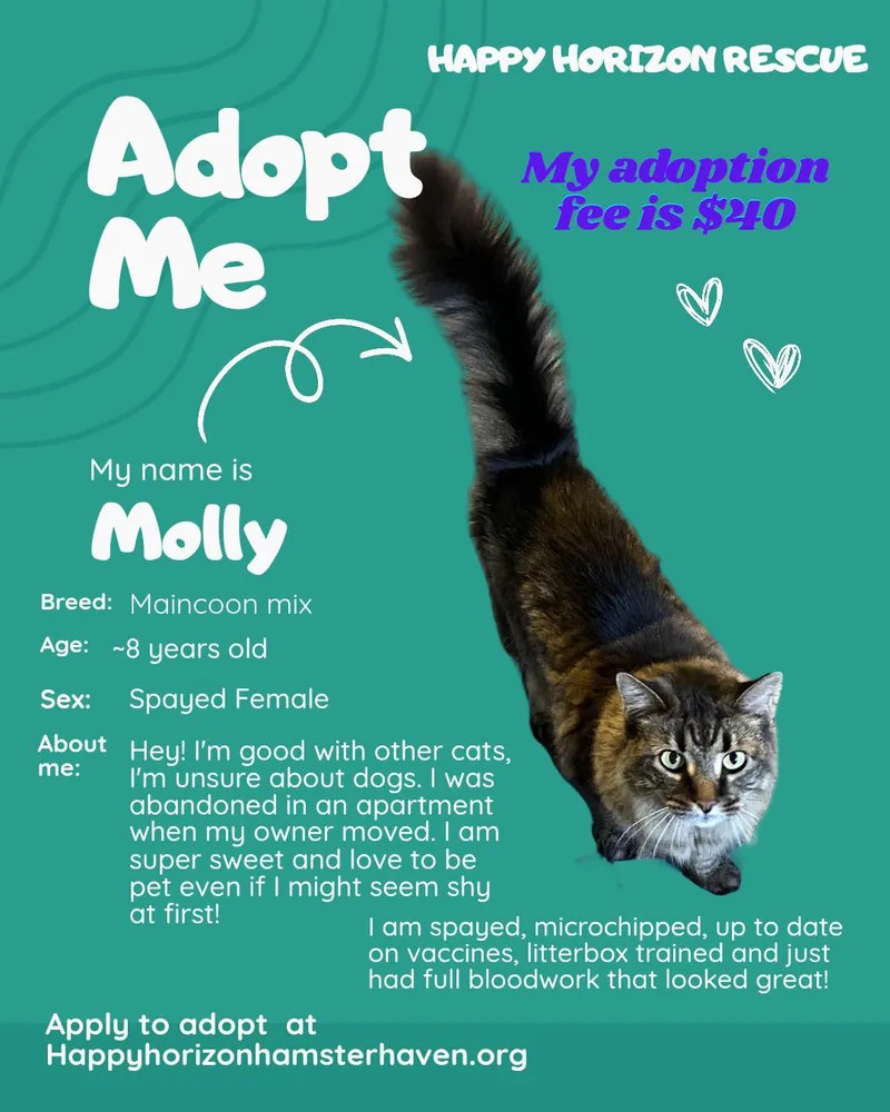 Molly thumbnail 2