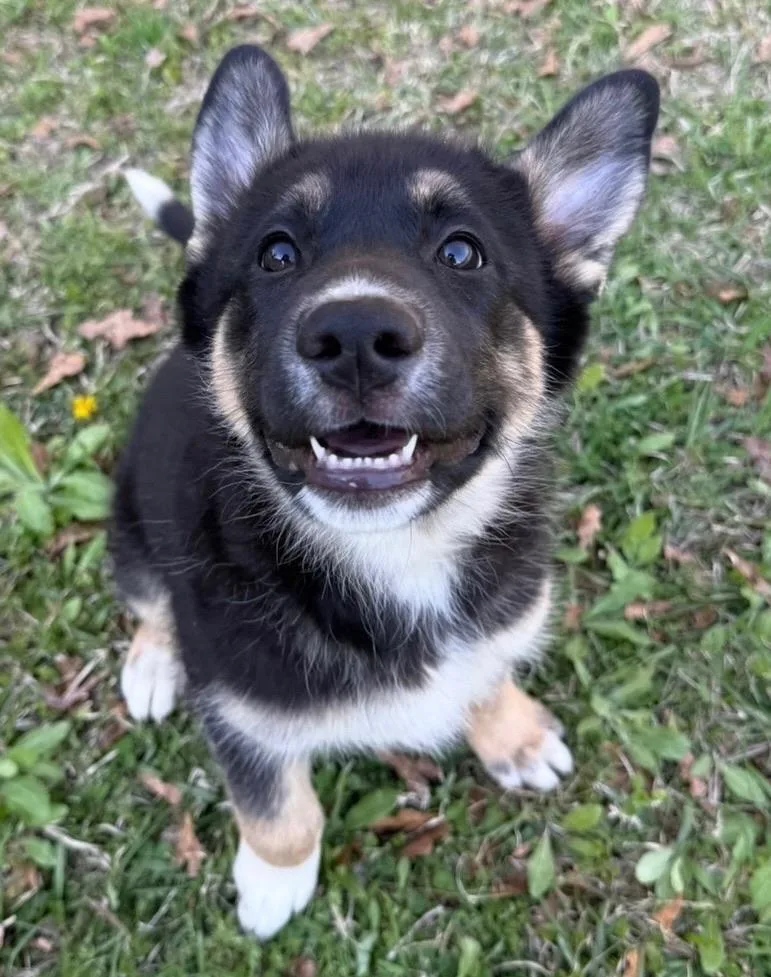 Midnight thumbnail 5